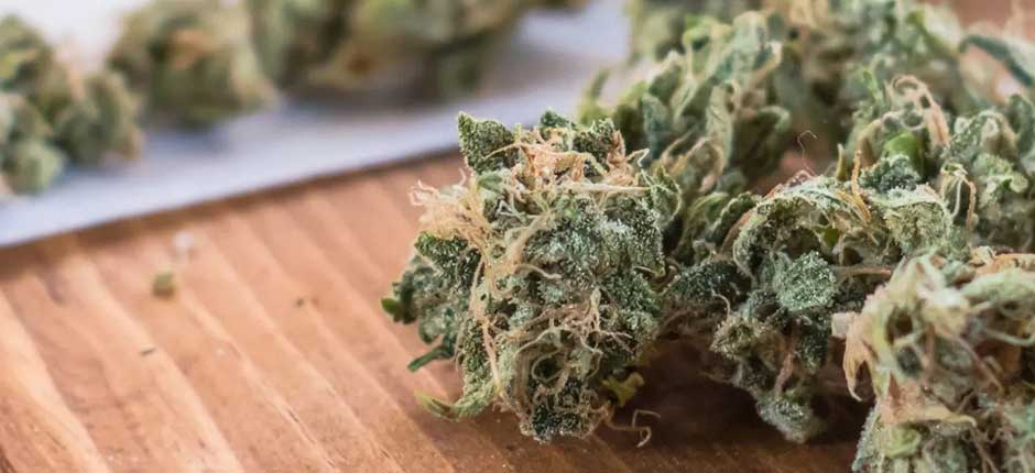 Close-up of cannabis buds on wooden surface.